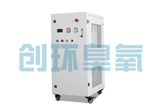 大足石斑鱼养殖水质调控完整指南：臭氧发生器配置与操作步骤