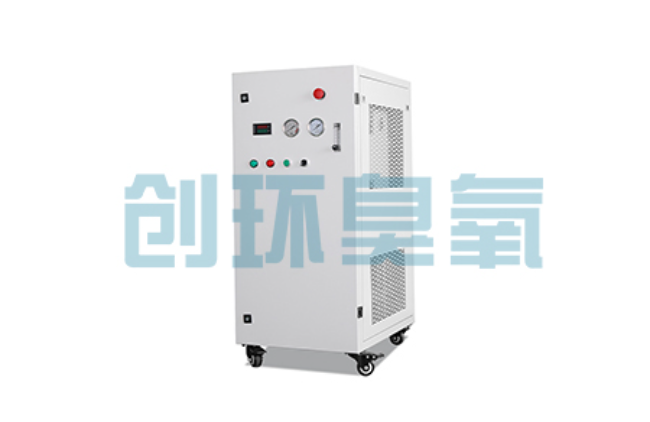 大足比传统换水更高效？臭氧发生器在石斑鱼养殖中的水质净化原理解析